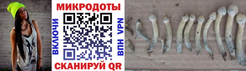 Псилоцибиновые грибы мицелий  Комсомольск 